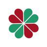 Palpitex Logo